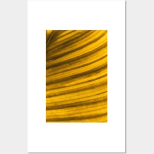 Golden Leaf II Posters and Art